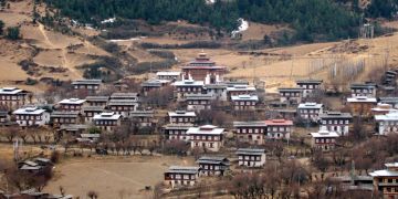 Ura Matsutake Mushroom Festival