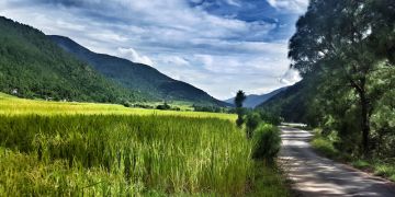 Homestay Experience in Punakha