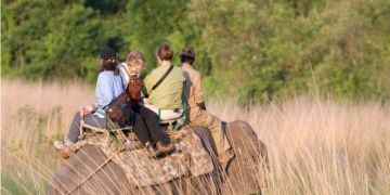 Manas Wildlife Safari