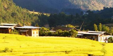 Radhi Village